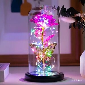 Enchanted LED Rose in Glass Dome - Multicolor